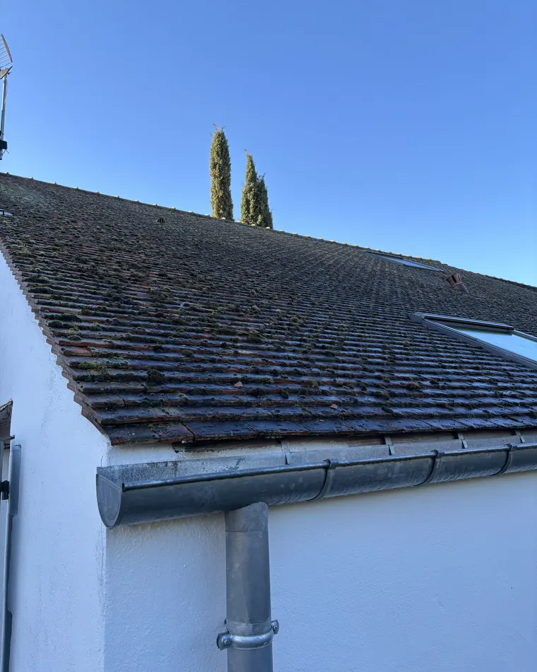 Gouttière demi-ronde en zinc et descente sous une toiture en tuiles plates